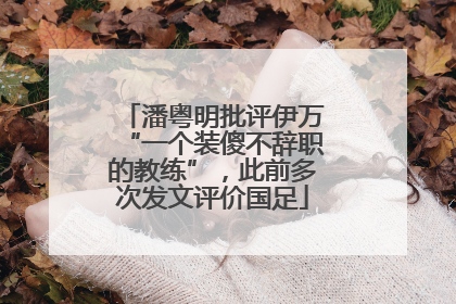 潘粤明批评伊万“一个装傻不辞职的教练”，此前多次发文评价国足