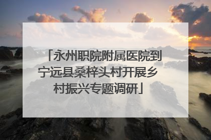 永州职院附属医院到宁远县桑梓头村开展乡村振兴专题调研