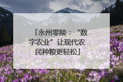 永州零陵：“数字农业”让现代农民种粮更轻松