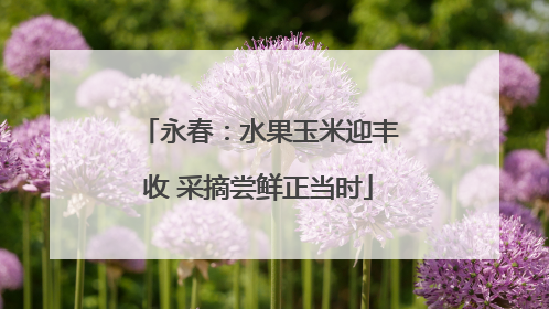 永春：水果玉米迎丰收 采摘尝鲜正当时