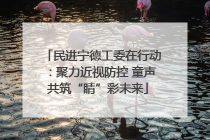 民进宁德工委在行动：聚力近视防控 童声共筑“睛”彩未来