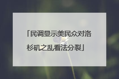 民调显示美民众对洛杉矶之乱看法分裂
