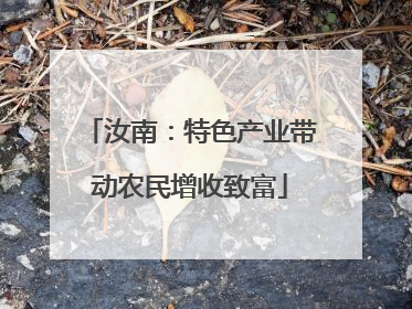 汝南：特色产业带动农民增收致富