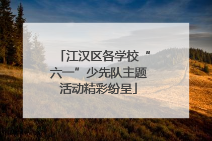 江汉区各学校“六一”少先队主题活动精彩纷呈