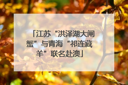 江苏“洪泽湖大闸蟹”与青海“祁连藏羊”联名赴澳