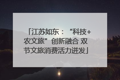 江苏如东：“科技+农文旅”创新融合 双节文旅消费活力迸发
