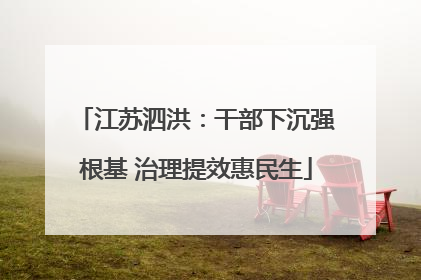 江苏泗洪：干部下沉强根基 治理提效惠民生