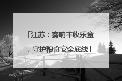 江苏：奏响丰收乐章，守护粮食安全底线