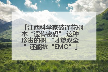 江西科学家破译花榈木“遗传密码” 这种珍贵的树 “才貌双全”还能抗“EMO”