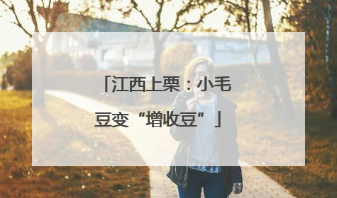 江西上栗：小毛豆变“增收豆”