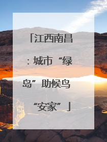 江西南昌：城市“绿岛”助候鸟“安家”