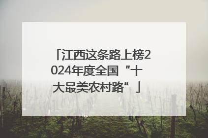 江西这条路上榜2024年度全国“十大最美农村路”