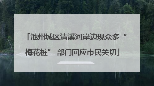 池州城区清溪河岸边现众多“梅花桩” 部门回应市民关切