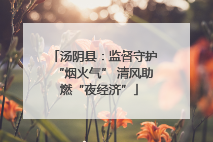 汤阴县：监督守护“烟火气” 清风助燃“夜经济”