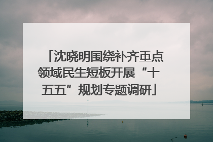 沈晓明围绕补齐重点领域民生短板开展“十五五”规划专题调研