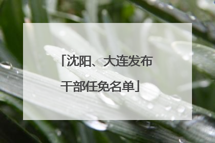 沈阳、大连发布干部任免名单