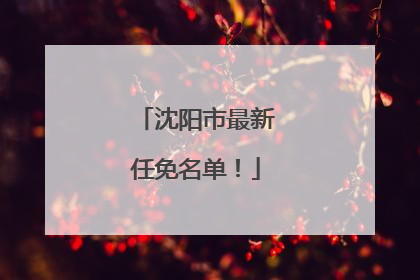 沈阳市最新任免名单！
