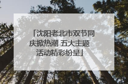 沈阳老北市双节同庆掀热潮 五大主题活动精彩纷呈