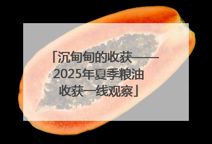 沉甸甸的收获——2025年夏季粮油收获一线观察