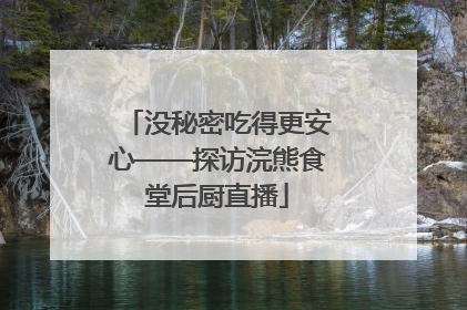 没秘密吃得更安心——探访浣熊食堂后厨直播