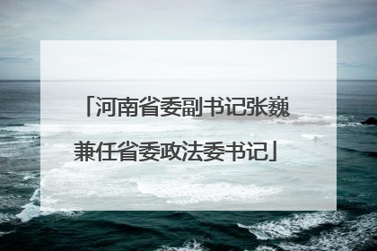 河南省委副书记张巍兼任省委政法委书记