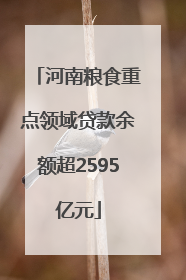 河南粮食重点领域贷款余额超2595亿元