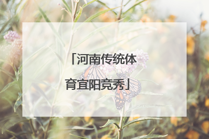 河南传统体育宜阳竞秀