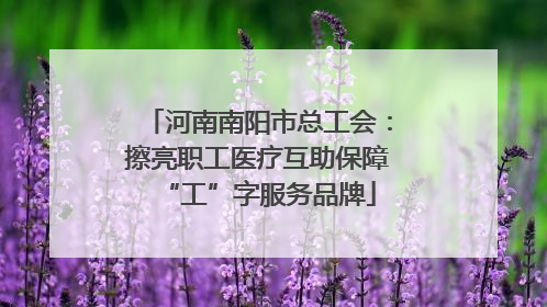 河南南阳市总工会：擦亮职工医疗互助保障“工”字服务品牌