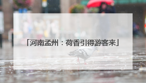 河南孟州：荷香引得游客来