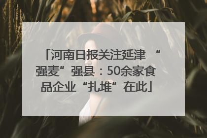 河南日报关注延津 “强麦”强县：50余家食品企业“扎堆”在此