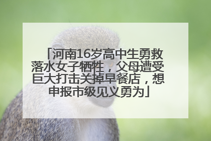 河南16岁高中生勇救落水女子牺牲，父母遭受巨大打击关掉早餐店，想申报市级见义勇为