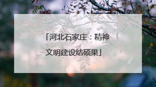 河北石家庄：精神文明建设结硕果