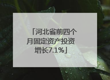 河北省前四个月固定资产投资增长7.1%