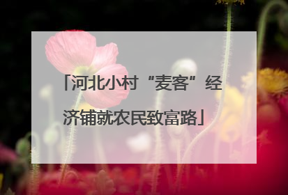河北小村“麦客”经济铺就农民致富路