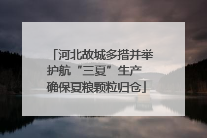 河北故城多措并举护航“三夏”生产 确保夏粮颗粒归仓