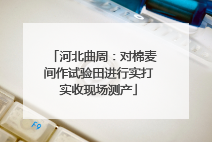 河北曲周：对棉麦间作试验田进行实打实收现场测产