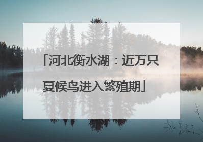 河北衡水湖：近万只夏候鸟进入繁殖期