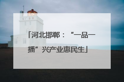 河北邯郸：“一品一播”兴产业惠民生