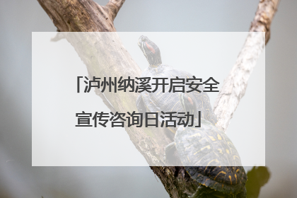 泸州纳溪开启安全宣传咨询日活动