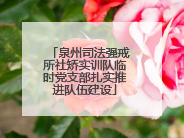 泉州司法强戒所社矫实训队临时党支部扎实推进队伍建设