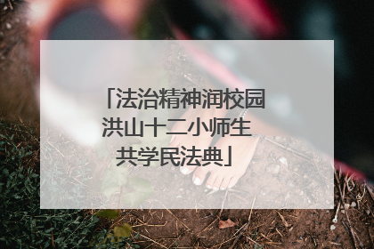 法治精神润校园 洪山十二小师生共学民法典