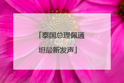 泰国总理佩通坦最新发声