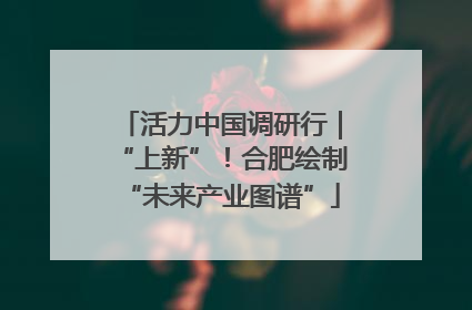 活力中国调研行｜“上新”！合肥绘制“未来产业图谱”