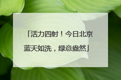 活力四射！今日北京蓝天如洗，绿意盎然