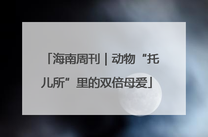 海南周刊｜动物“托儿所”里的双倍母爱