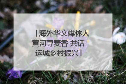 海外华文媒体人黄河寻麦香 共话运城乡村振兴