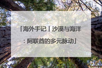 海外手记丨沙漠与海洋：阿联酋的多元脉动
