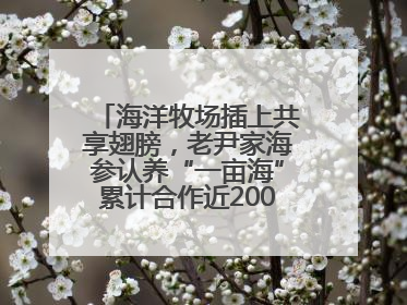 海洋牧场插上共享翅膀，老尹家海参认养“一亩海”累计合作近200企业客户