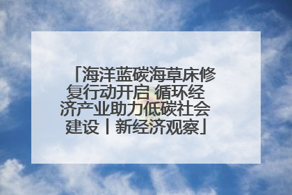 海洋蓝碳海草床修复行动开启 循环经济产业助力低碳社会建设丨新经济观察