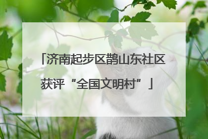 济南起步区鹊山东社区获评“全国文明村”
